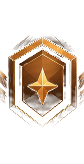 Bronze Badge